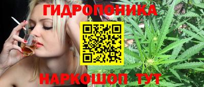 синтетический гашиш Новозыбков