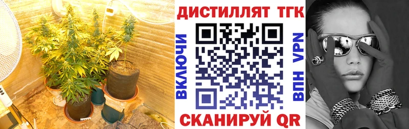 магазин  наркотиков  маркетплейс состав  Дистиллят ТГК гашишное масло  Бутурлиновка 