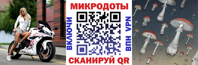 Псилоцибиновые грибы Cubensis  кракен вход  Бутурлиновка  купить  сайты 
