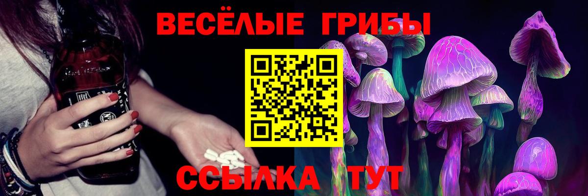 Псилоцибиновые грибы Cubensis Бутурлиновка